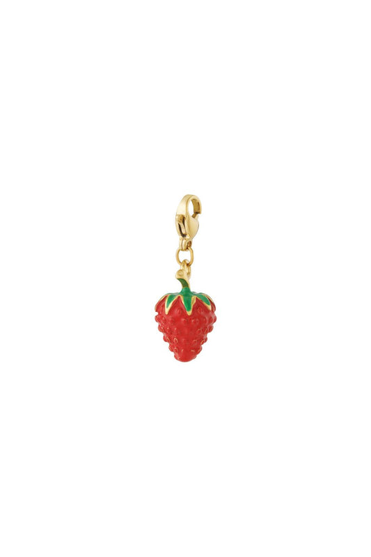 Erdbeeren Charm - Rot