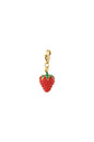 Erdbeeren Charm - Rot