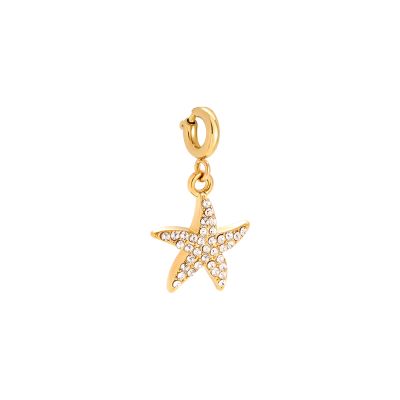 Seestern Charm