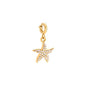 Seestern Charm